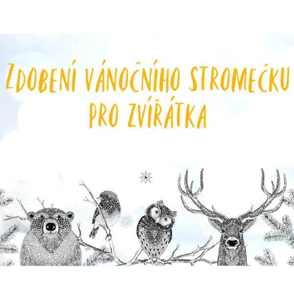 Zdobení vánočního stromečku pro zvířátka