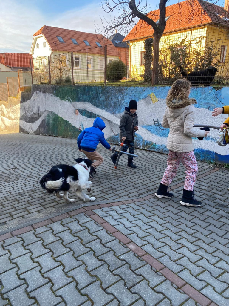 WhatsApp Image 2025-12-20 at 19.23.02 (1).jpeg