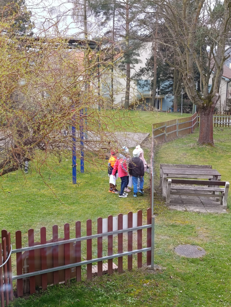 WhatsApp Image 2026-04-02 at 13.07.49.jpeg