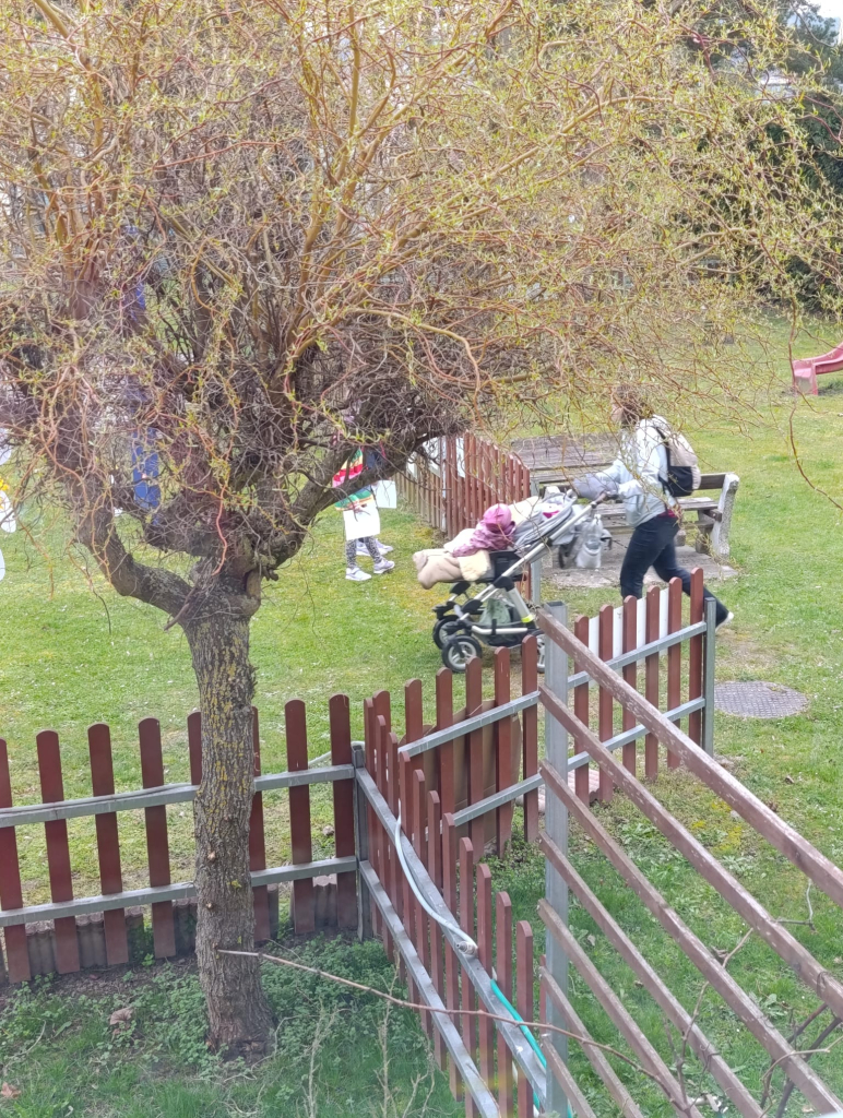 WhatsApp Image 2026-04-02 at 13.07.52.jpeg