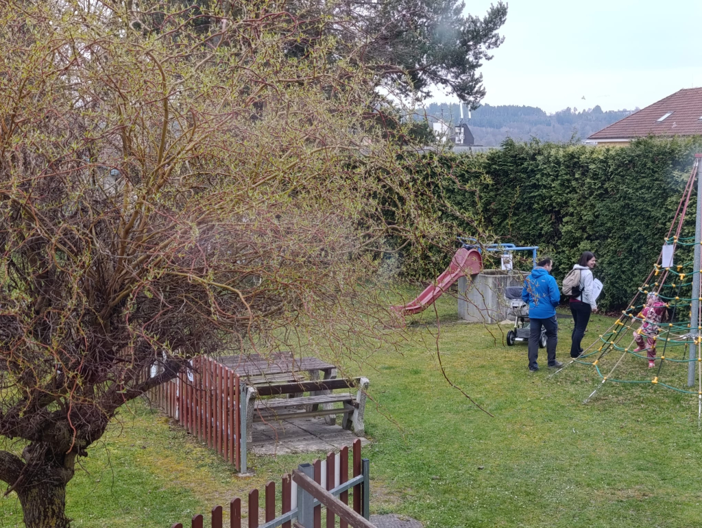 WhatsApp Image 2026-04-02 at 13.07.55 (1).jpeg