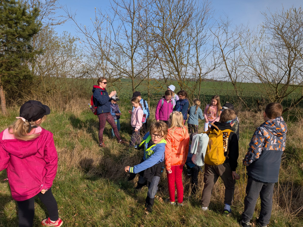 WhatsApp Image 2026-04-18 at 12.50.49 (10).jpeg