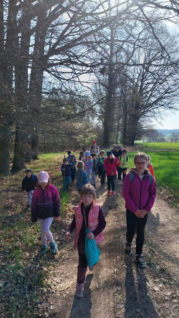 WhatsApp Image 2026-04-18 at 12.50.49 (11).jpeg