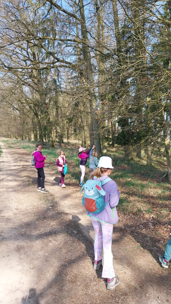 WhatsApp Image 2026-04-18 at 12.50.50.jpeg