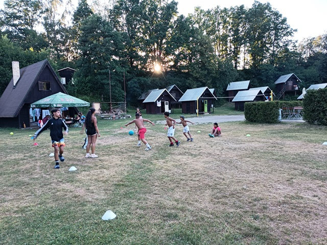 IMG_20260702_195638.jpg