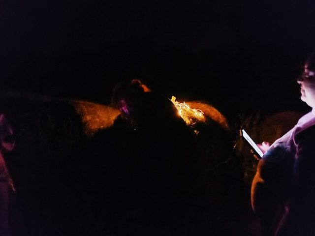IMG_20260703_231444.jpg