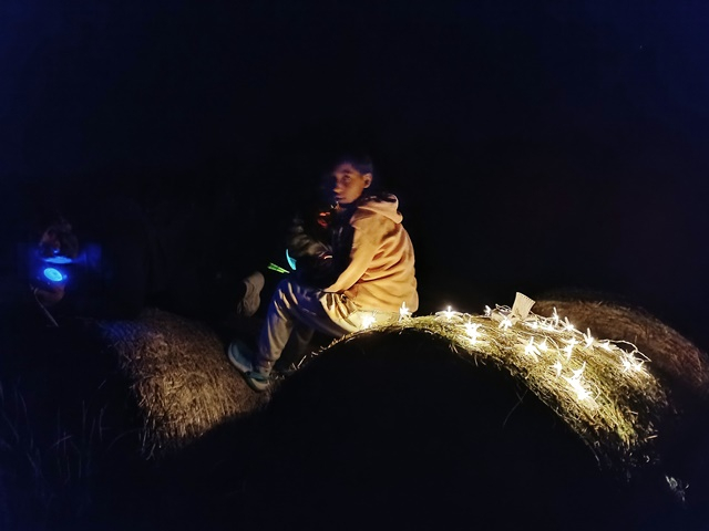 IMG_20260703_231649.jpg