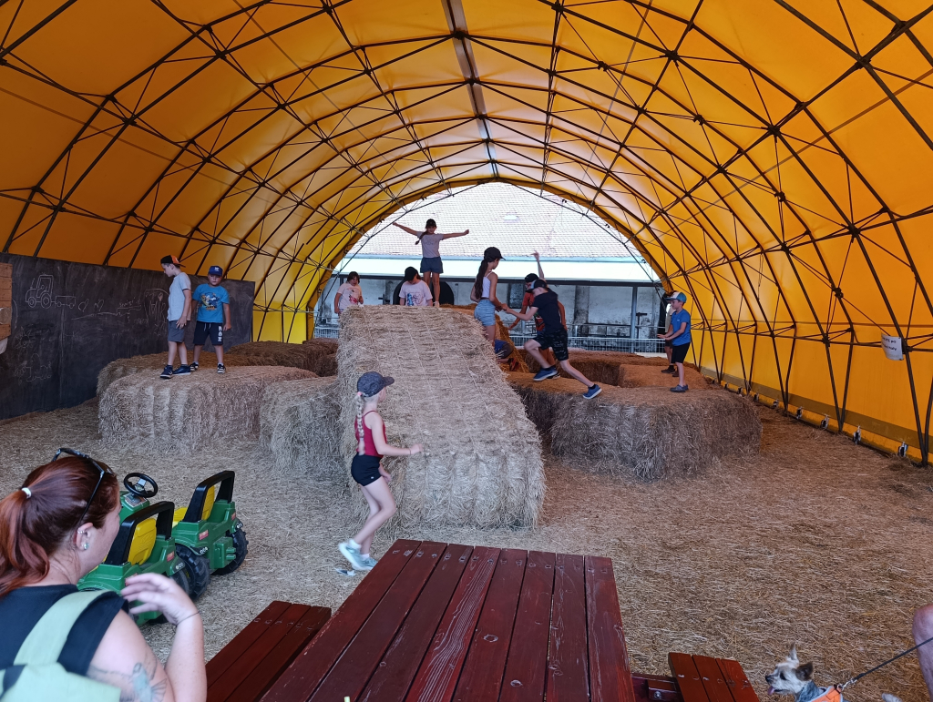 IMG_20260730_104854.jpg