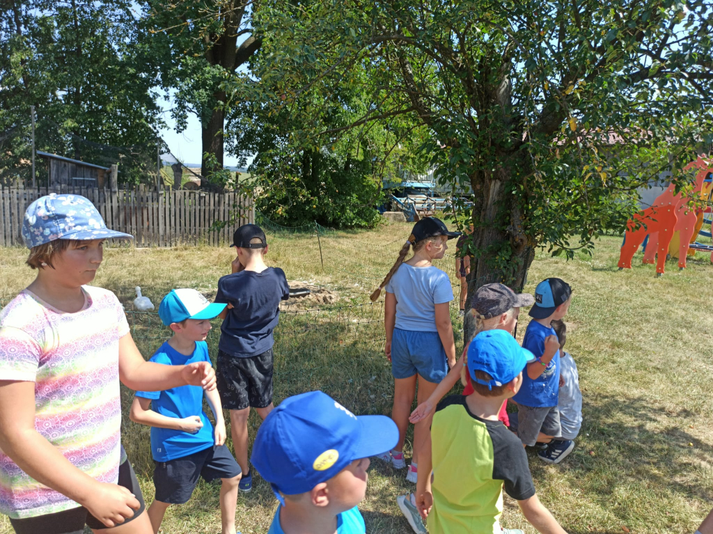 IMG-20260730-WA0033.jpg