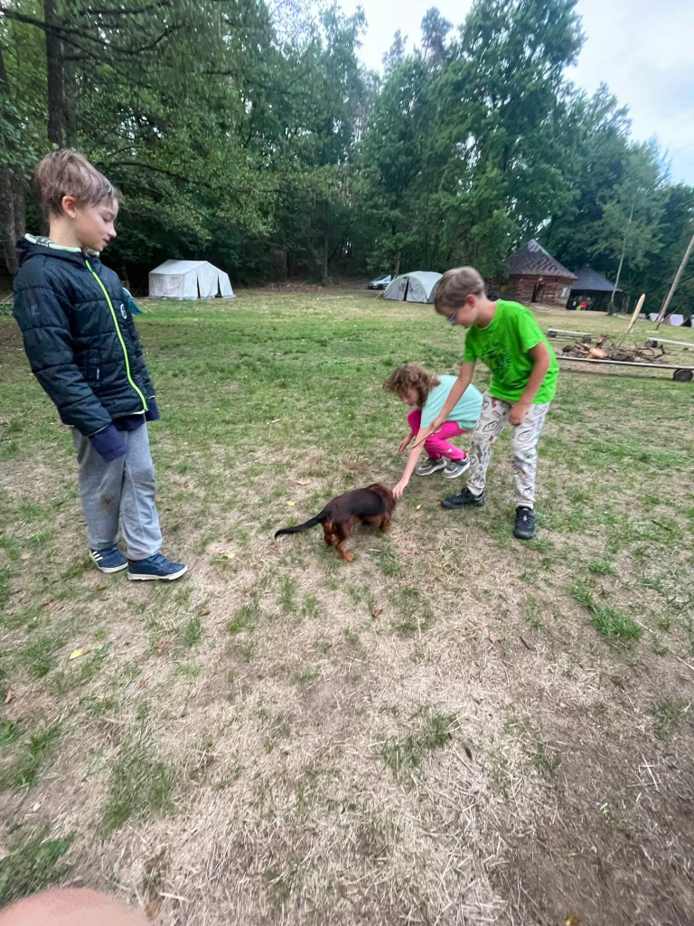 1000034231.jpg