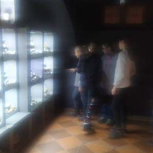 výlet do neznáma (28).jpg