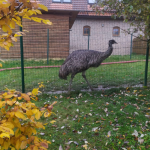 3. výprava 10. - 11. 11. 2023 (9).jpg