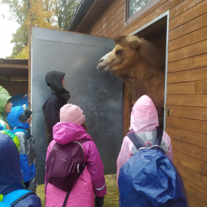 3. výprava 10. - 11. 11. 2023 (13).jpg