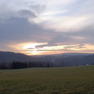 IMG-20241214-WA0161.jpg
