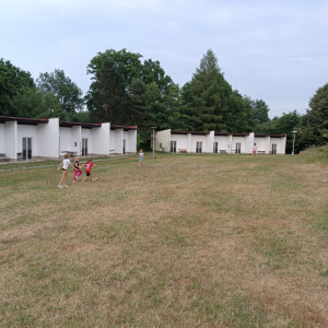 IMG_20250703_193232.jpg