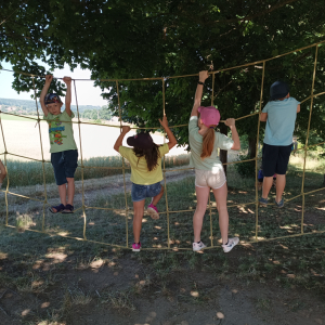 IMG_20250705_101132.jpg