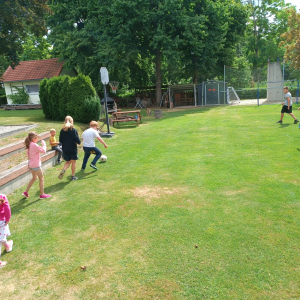 IMG_20250709_105104.jpg