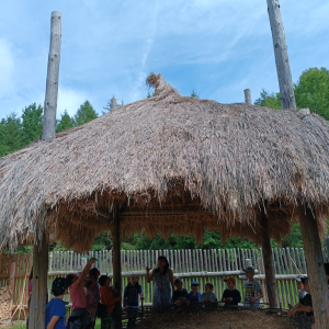 IMG_20250716_113806.jpg