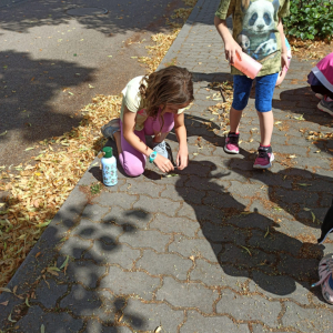 IMG-20250714-WA0005.jpg