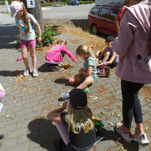 IMG-20250714-WA0006.jpg